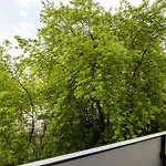 Lägenhet Shortstaypoland Chlodna B168
