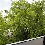 Shortstaypoland Chlodna B168 Lägenhet